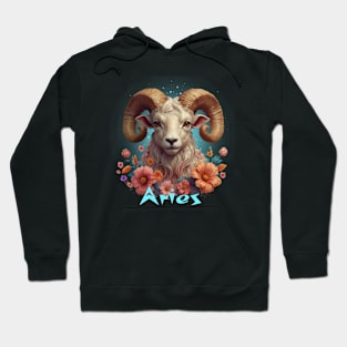 Aries Zodiac Sign Hoodie